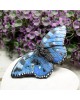 Motyl - niebieska duża broszka