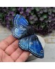 Motyl - niebieska spinka do włosów